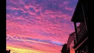 Beaxy- Sweet Garden 152 bpm [TRAP Beat]