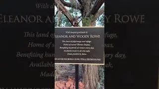 Did you know there&rsquo;s a Buddha statue in Sedona Arizona? 🗿 #travel #buddha #bucketlist #shorts