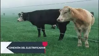 CERCA ELÉCTRICA SOLAR PARA GANADERÍA