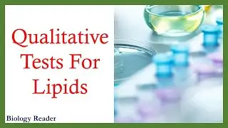 Qualitative Tests for Lipids | What are Lipids? | Examples of Lipids