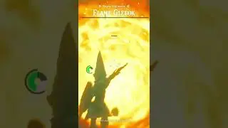 Getting to that part in the Flame Gleeok fight #tearsofthekingdom #zelda #thelegendofzelda