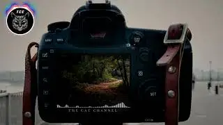 [Indie] Morning Funny Beat - Free Music Mascot [No Copyright Music]