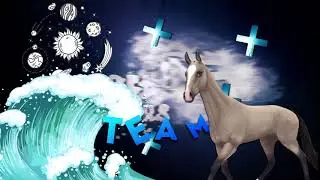 ✿ Team ✿