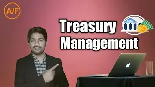 What is Treasury Management in Hindi/Urdu