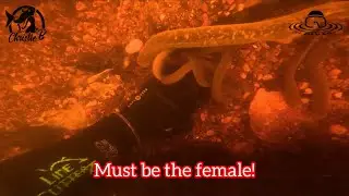 Нашла классных водных червей! 😃👍😂