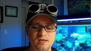 Level 7 Amp Giveaway Winner!