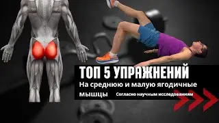 Лучшие упражнения на ягодичные мышцы (научно-доказанный эффект!)