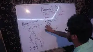 Neuronal Pools