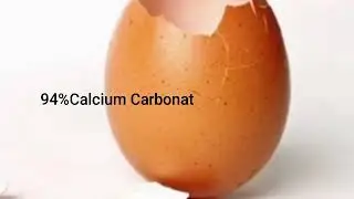 WISPO2020_LS 008_ORGANOLEPTIC TEST FOR FORTIFIED PACKAGING MILK BY UTILIZING CALCIUM FROM EGG SHELL