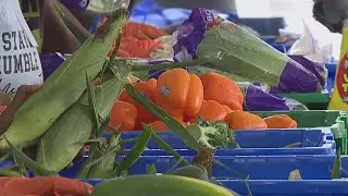 Fresh hope in Dauphin County: Residents embrace farm-to-family produce