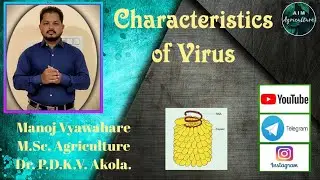 Characteristics of Virus (DNA or RNA)