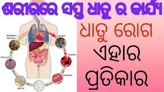 ଶରୀରରେ ସପ୍ତ ଧାତୁ ର କାର୍ଯ୍ୟ। ଧାତୁ ରୋଗ।Sapta Dhatu in Ayurved in Odia,