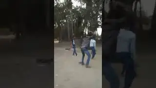 picnic dance 2019