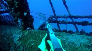 Spearfishing Texas artificial reef