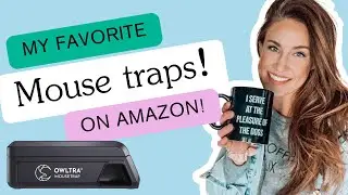 The best humane mouse traps, OWLTRA electric mouse traps!