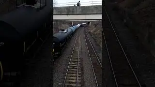 Flying Under a Bridge Past a Train #train #railfanning #bridge