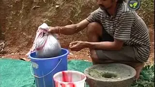 Neem Seed and Leaf Extracts For Bilogical Control of Pests & Diseases
