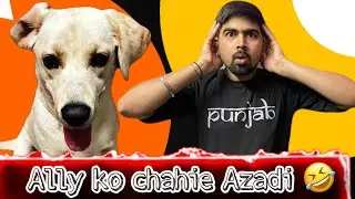 Ally Ki Azadi Ki Kahani 😱🐶 | Funny Dog Moments #puppy #puppyvlog #vlog 