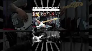 Precision Bass vs. Stingray