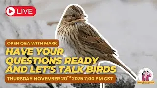 Ask a Wildlife Biologist: Your Backyard Bird Q&A with Mark McKellar 📱