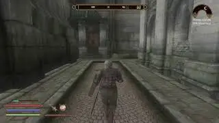 Let's Play Oblivion FCOM and many mods Attempt 598