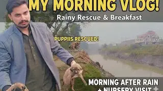 Barish Mein Phanse Masoom Puppies Ko Bachaya! 😭 | Morning After Rain & Nursery Visit 🪴