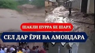 Сел дар Ери ва амондара шакли пурра (бе шарх)