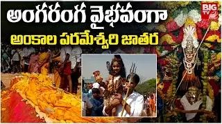 అంగరంగ వైభవంగా అంకాల పరమేశ్వరి జాతర | Ankala Parameshwari Jathara | Chittor | BIG TV Tirupati