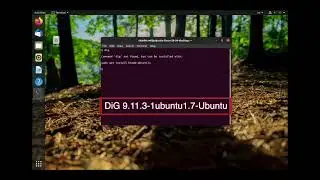 How to Install dig on Linux?
