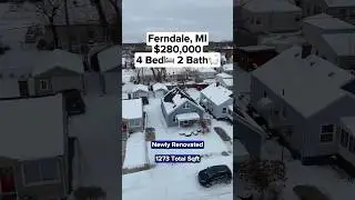 $280,000 Ferndale, MI Home Tour: 4 Bed, 2 Baths!