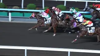 星期四夜馬直路片段 - 火神神樂  堅有利  星火燎原  風繼續吹  時尚風趣  新意馬 - 4K影片 - HKJC 香港沙田馬場 全天候跑道 - 2025年10月30日