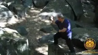 Kung Fu fight | Shaolin fighting | Master Yanxu