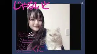 @RyuaChannel 