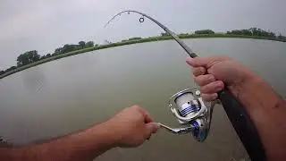 Ловля Сазана Жаоким Летом!#fishing