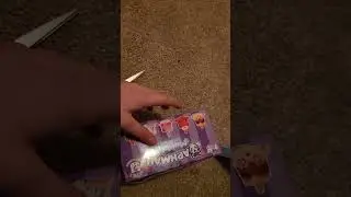 Aphmau cat unboxing 