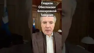 Губернатор Гладков выразил обеспокоенность ухудшением работы Телеграма#белгород #телеграм #интернет