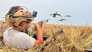 Goose Hunting Flooded Sheet Water! (CATCH CLEAN COOK)