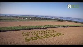 ICC Brazil Institutional video (English)