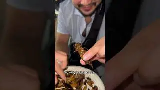 Only Eating Bugs for a Full Day! 🐛 #foodie #streetfood #shorts