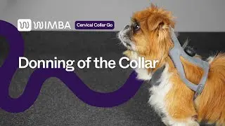 WIMBA Cervical Collar Go &ndash; Donning (Version with Magnet)