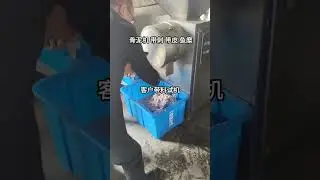 Heavy Duty Meat Beef Bone Paste Grinding Bone Milling Machine Fish Surimi Making Grinder Machine