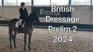 BD Prelim 2 2024