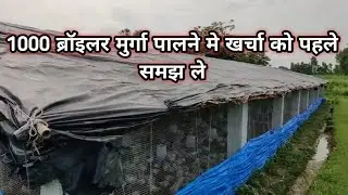1000 ब्रॉइलर मुर्गा पालन मे खर्चा, मुर्गा पालन की जानकारी, poultry farming business, #poultry 