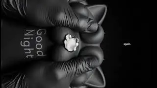 Sleep Meditation Affirmations | Fall Asleep Fast, Calm Mind & Deep Relaxation meet mochi cat paw 