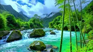 Escape Stress INSTANTLY! 🎧 Calming Water Plant Sounds for Focus