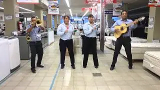 El mejor video de famsa 2014