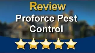 Proforce Pest Control Raleigh Great 5 Star Review by Holly K.
