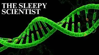 Evolve or Die: The Story of Natural Selection | Science for Sleep