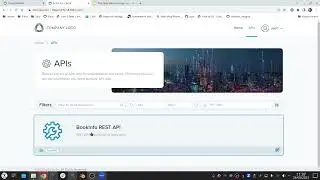 A fully customizable developer portal
