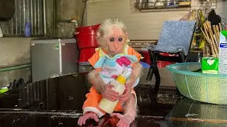 Monkey MiMi cooks corn milk with Mom